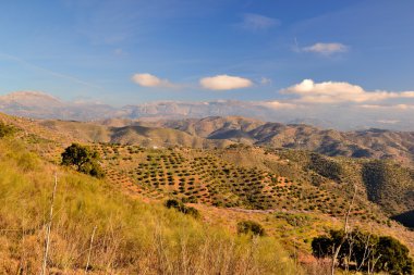 malaga'nın Dağları