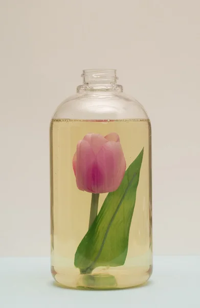 Flower inside a bottle of liquid soap — Stock Photo, Image