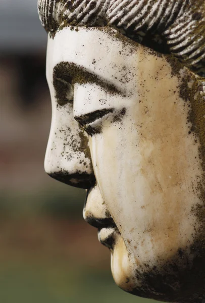 stock image Buddha statue profile