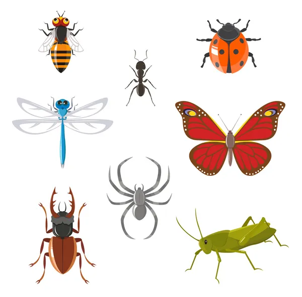 Zestaw ikon owadów — Wektor stockowy