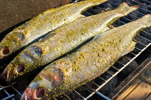 Pesci sul barbecue — Foto Stock