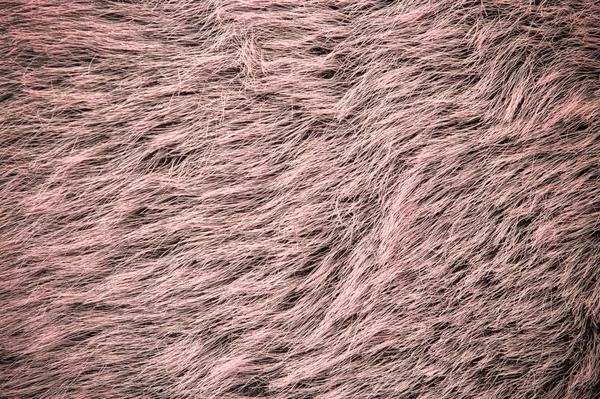 Stock image Pink fur