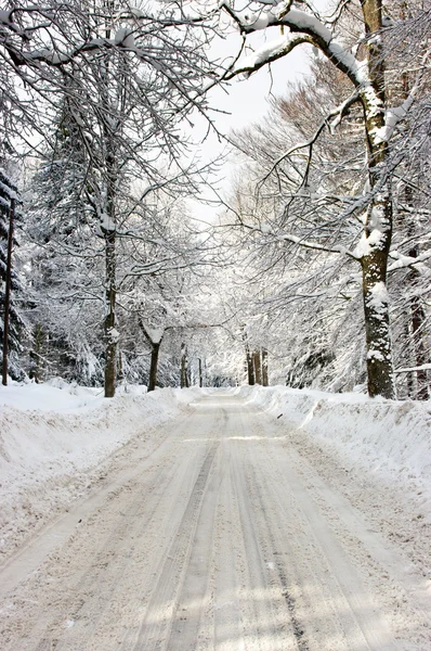 Camino durante el invierno —  Fotos de Stock