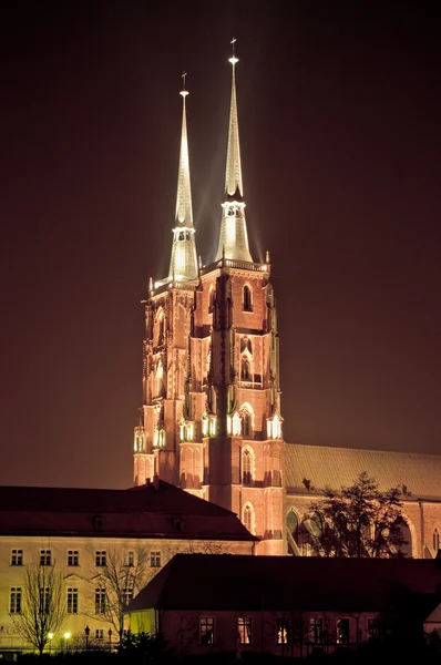 Katedrála v wroclaw, Polsko — Stock fotografie