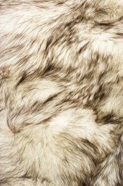 Fox fur texture clipart