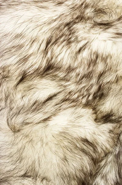Fox fur texture — Stock Photo, Image
