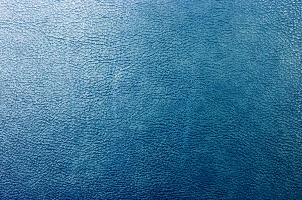 Piele albastră — Fotografie, imagine de stoc