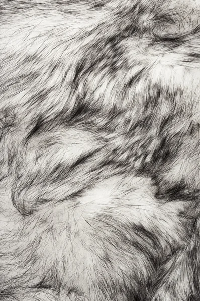 Textura de pele de raposa polar — Fotografia de Stock