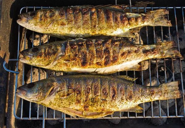 Рыбы на барбекю — стоковое фото