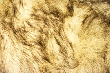 Fox fur texture clipart