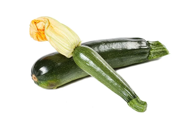 Cocumber — Stock Photo, Image