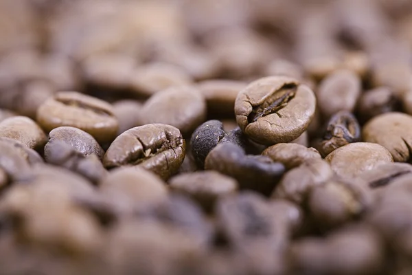 Macro of coffee beans — Stock Photo, Image