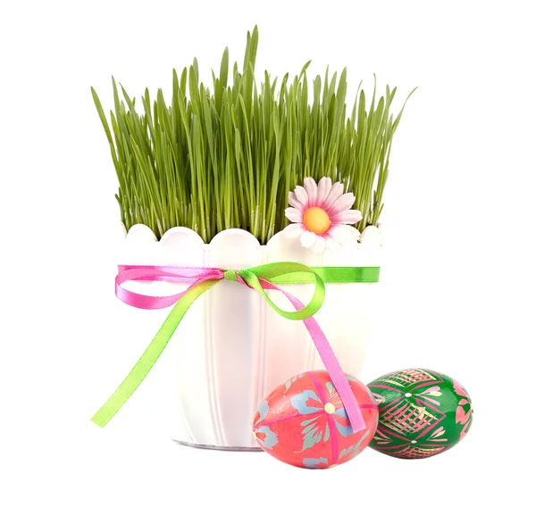 stock image Grass isolated