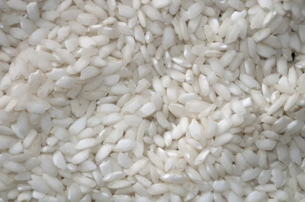 stock image White rice background