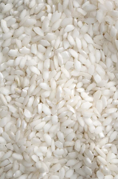 stock image White rice background