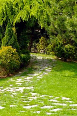 Garden path clipart