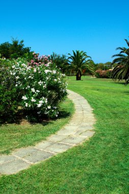 stenen pad in een prachtige tuin