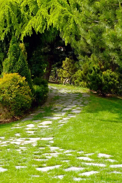 Caminho do jardim — Fotografia de Stock