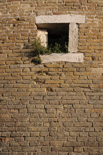 Stara Cegła ściana — Zdjęcie stockowe