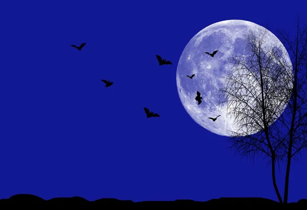 Halloween natt bakgrund — Stockfoto