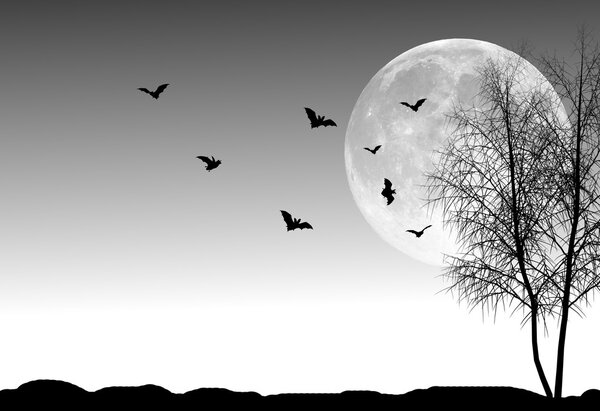Blue night with tree silhouette, full moon and bats flying. Perfect background for halloween concept