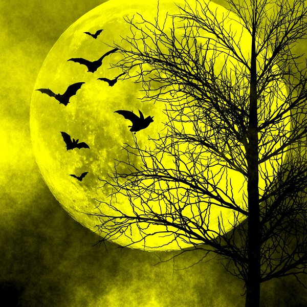 Halloween night spooky background