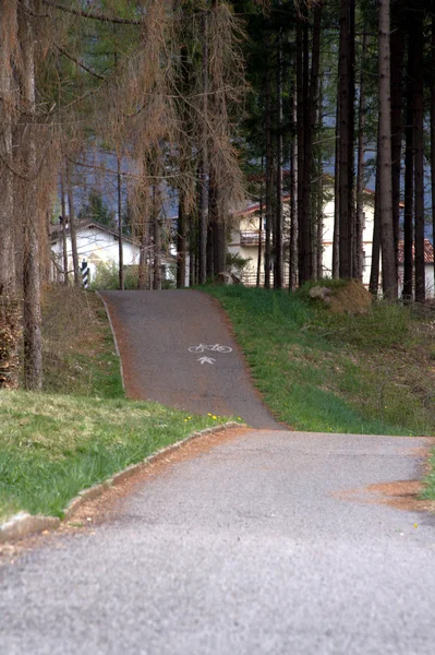 stock image Cycling path on the woods