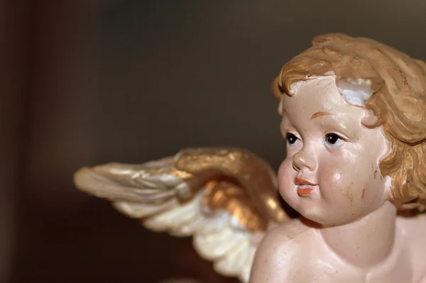 Young angel Royalty Free Stock Images