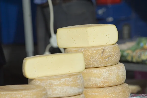 Rondas de queso — Foto de Stock