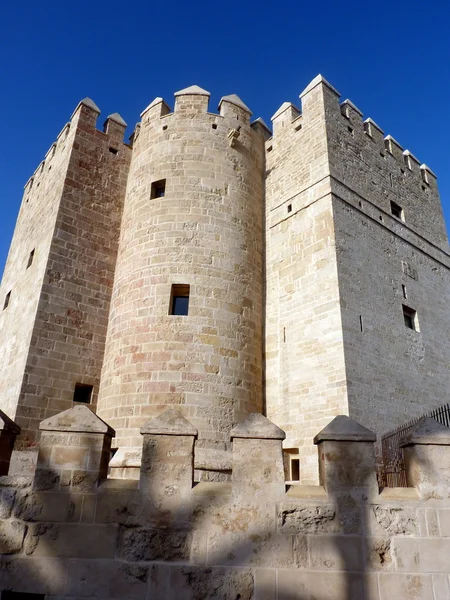 stock image Calahorra Tower in Cordoba, Andalusia, Spain