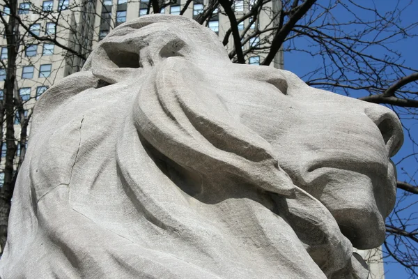 Face of a lion (statue) — Stock Photo, Image