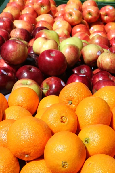 Oranges et pommes au soleil — Photo