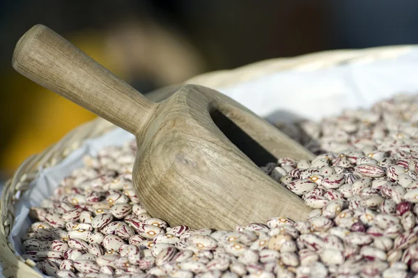 stock image White beans