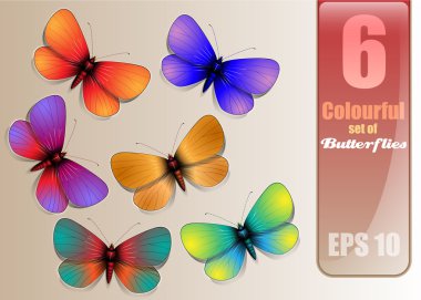 6 Colourful Set of Vector Butterflies clipart