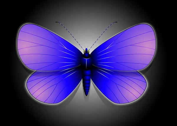 Hermosa ilustración de mariposa vectorial — Vector de stock
