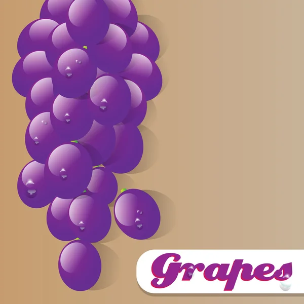 Szép szőlőből készült illusztráció — Stock Vector
