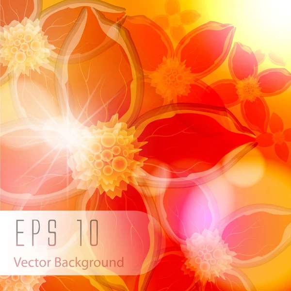 Blume Vektor Hintergrund — Stockvektor