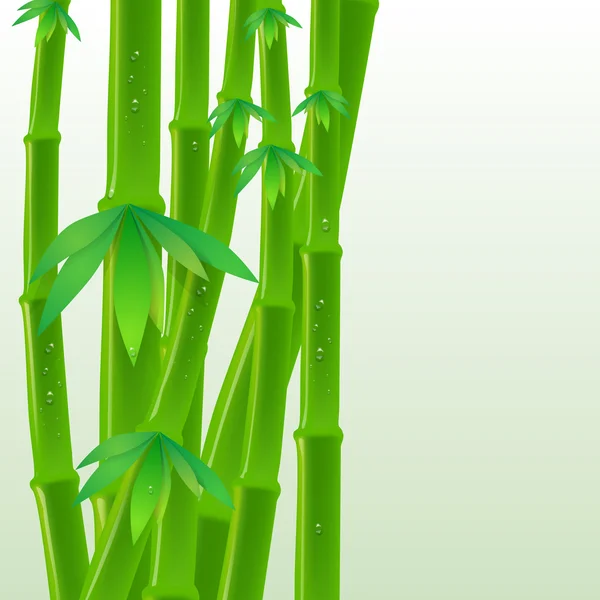 Fond vectoriel en bambou avec des gouttes d'eau — Image vectorielle