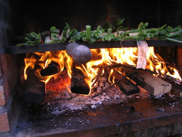 Stock image Barbacoa con calçots a la brasa