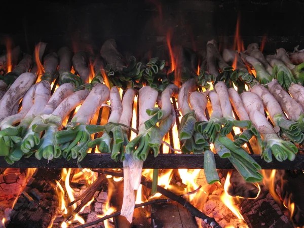 stock image Calçots