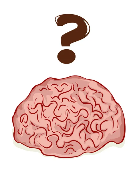 大脑 — 图库矢量图片