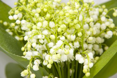 Vadideki zambak buketi