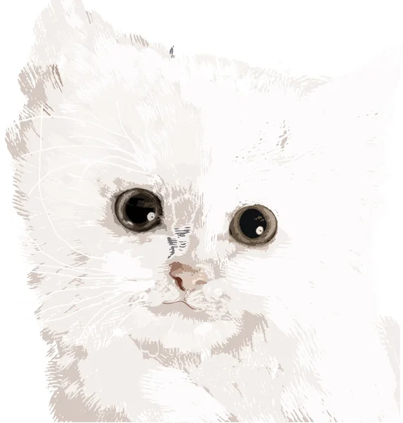 白猫 — 图库矢量图片