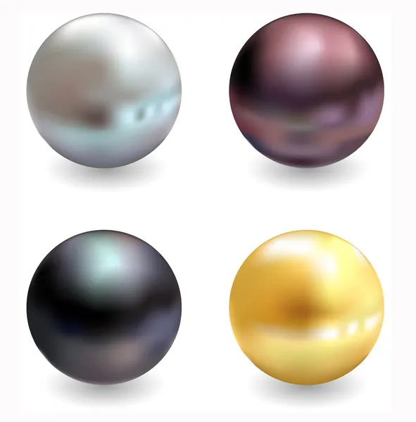Belle perle, illustrazione vettoriale realistica — Vettoriale Stock