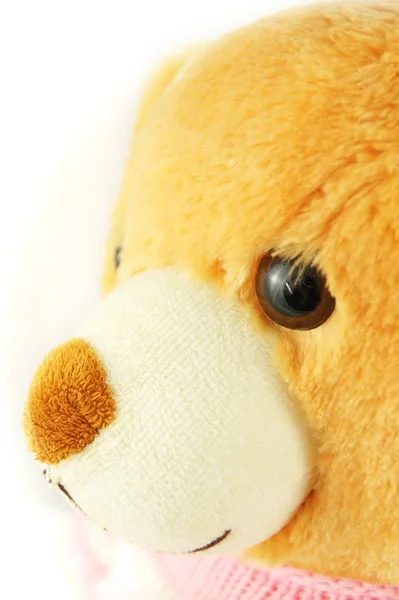 Teddybär isoliert auf weiß — Stockfoto