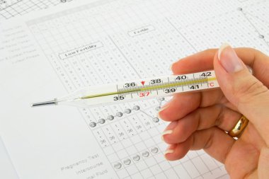 Thermometer, graphs and fertility chart clipart