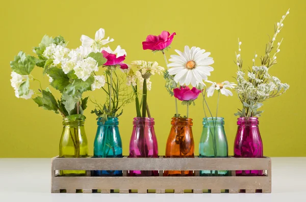 Flores em vasos coloridos — Fotografia de Stock