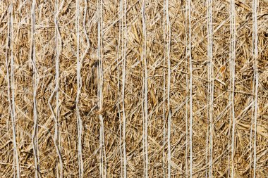 Bale of straw closeup