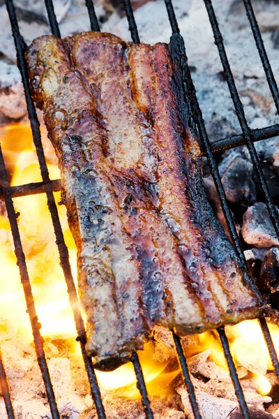 Meat on a grill — Stock Photo, Image