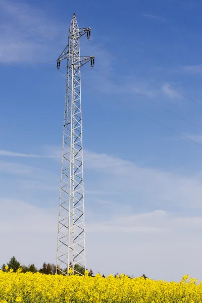Pole rzepaku z jakim pylon zapewnia energię elektryczną — Zdjęcie stockowe